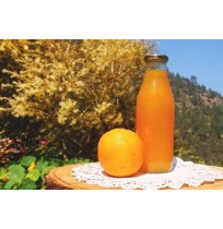 Cooler - Malta (Orange Juice Concentrate -500ml)